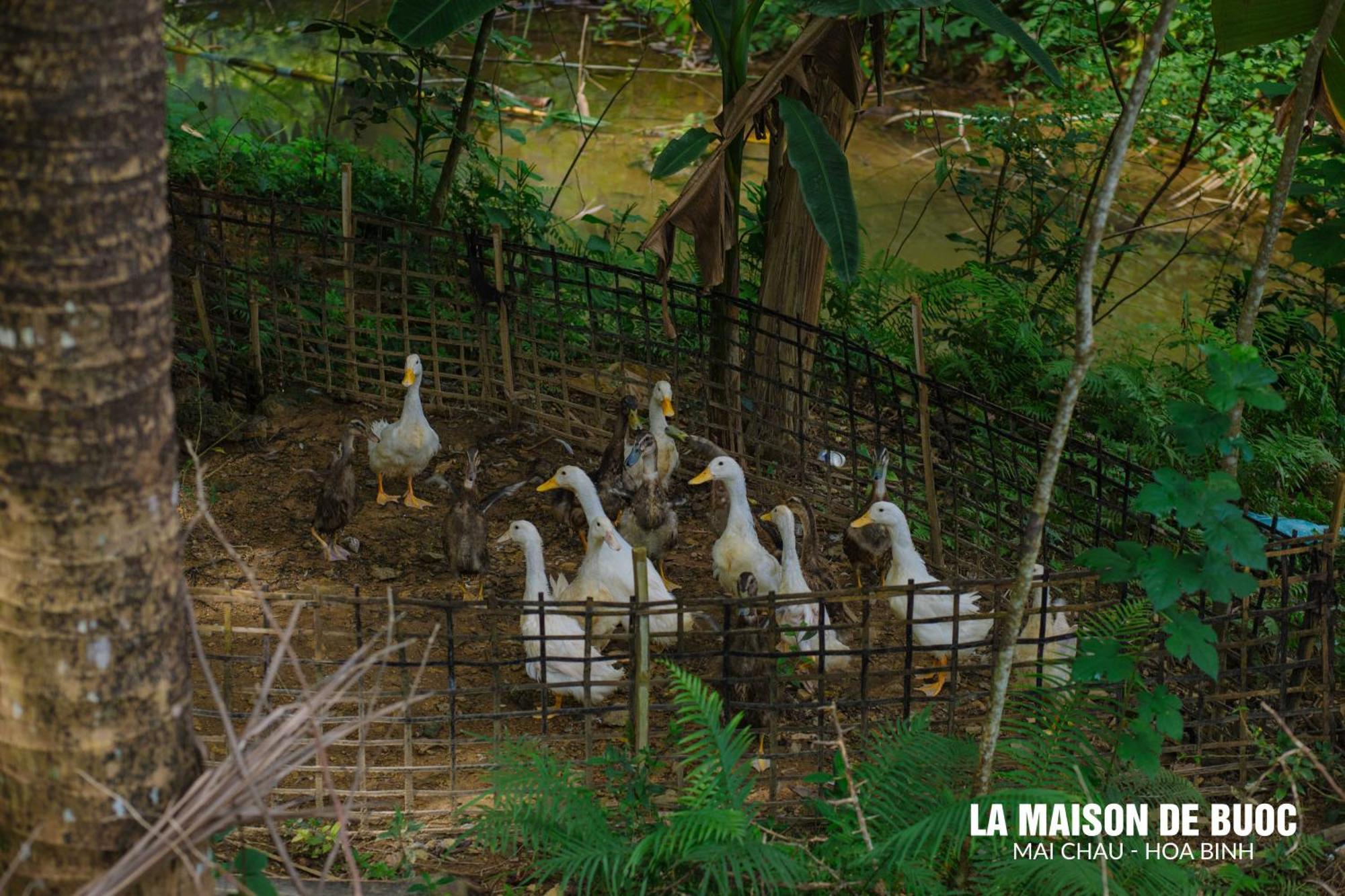La Maison De Buoc Mai Châu Extérieur photo